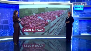 Поддержка фермеров и развитие села. Наталья Кувшинова. Сказано в Сенате