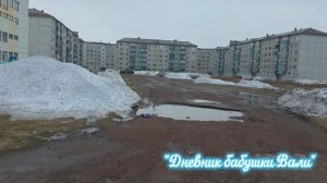 Воргашор. Ул. Катаева 59. Почему у меня нет котёнка.