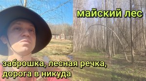 Прогулка по майскому лесу/Ищу заброшенную просеку/Поход 5.05.26 (1ый в этом году)
