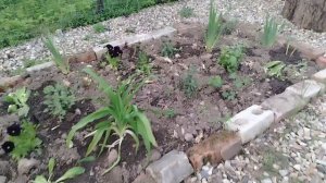 ДЕРЕВЕНСКАЯ ЖИЗНЬ🏡. ОБЗОР НАШИХ РАБОТ.