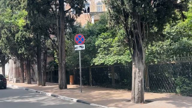 Ялта. Ул.Боткинская. Цветение огромного розового каштана. От Севастопольской до Кирова ул. 14.05.26.