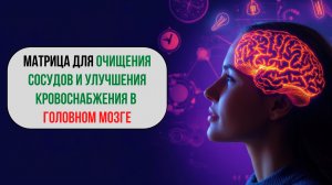 Оригинальная  матрица для очищения сосудов головного мозга и улучшения кровообращения