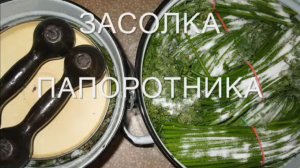Папоротник ОРЛЯК. Солить . Как засолить папоротник . Сбор . Заготовка . Польза папоротника . Орляк