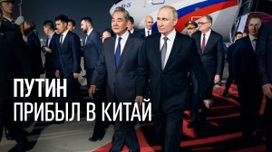 Красная ковровая дорожка и почётный караул: Владимира Путина встретили в аэропорту Пекина