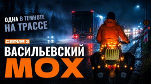 ОДНА В ТЕМНОТЕ НА ТРАССЕ | Васильевский Мох | Серия 3