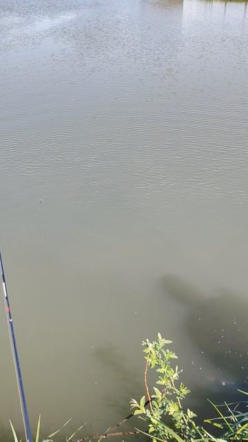 41898.mp4