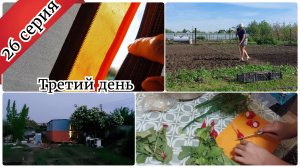 Третий день на даче и не только 🔥Много работы и не успеть. Посадила часть помидоров. Салат от дочки