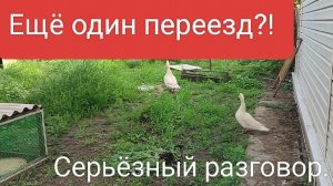Серьёзно поговорили. Попали к доктору. Жизнь станичная на пенсии.