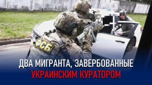 МИГРАНТЫ–ДИВЕРСАНТЫ ЗАДЕРЖАНЫ В ВОРОНЕЖСКОЙ ОБЛАСТИ