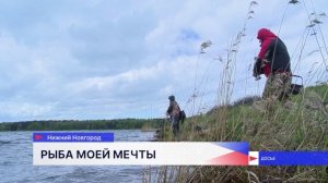 Усиление охраны водных биоресурсов в период нереста обсудили депутаты ЗСНО