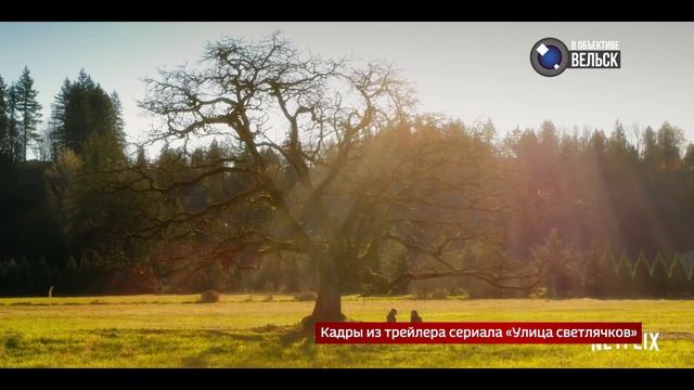 Книжная полка «Улица светлячков» К. Ханна