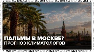 Климатологи заявили, что в Москве может сформироваться субтропический климат - Москва