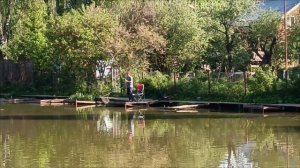 Поимка карпа. РК Липки.