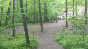 № 65 Важные..точнее серьёзные мысли на природе. Помолился во благо. Аминь.