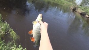 Рыбалка в мае. Отличный клёв!!!!