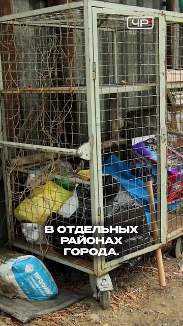 Жители Борзи пожаловались на невывоз отходов