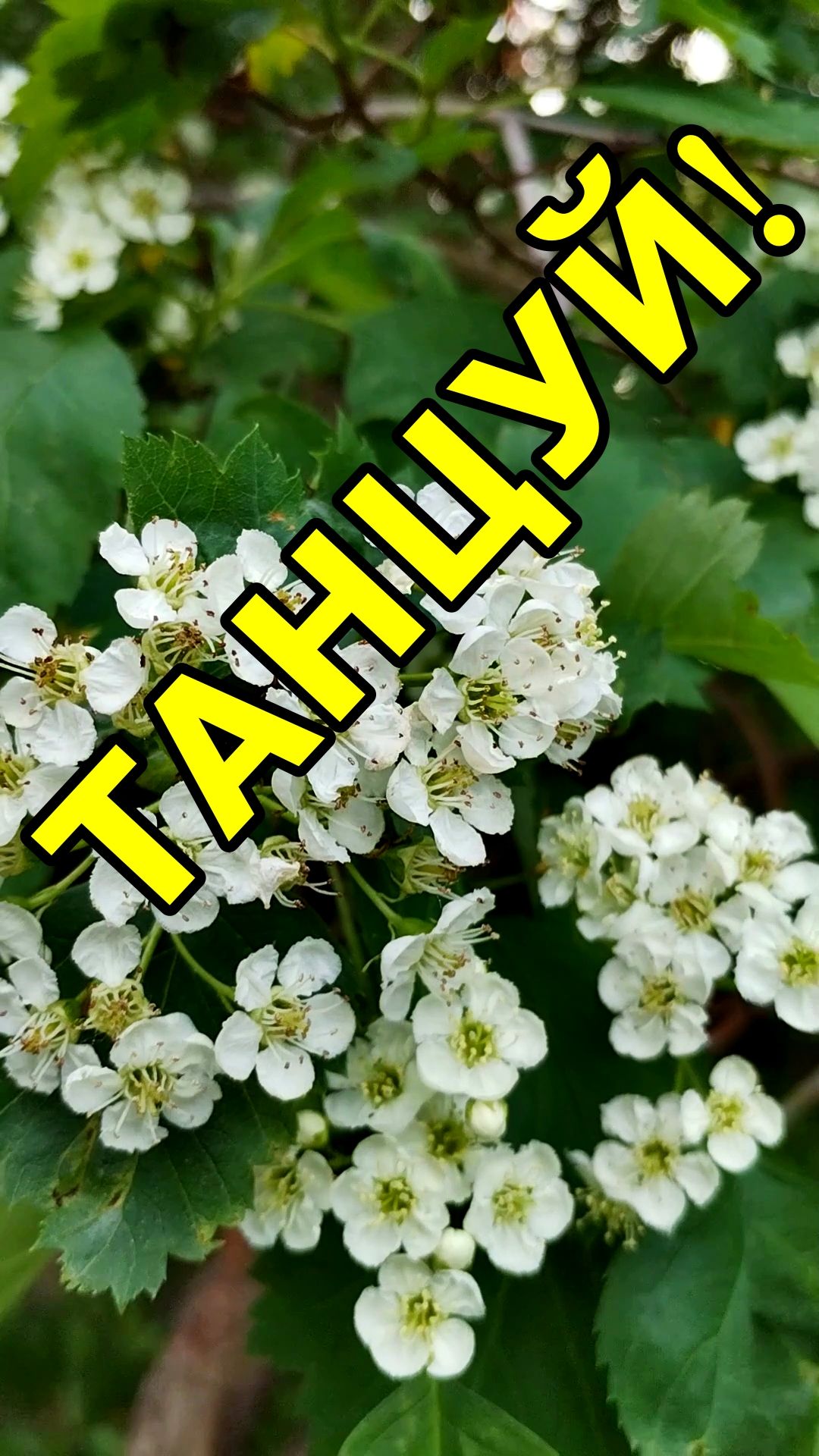 ТАНЦУЙ👋