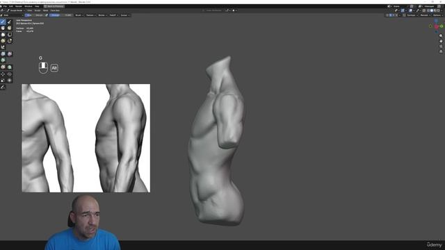 11. Average male torso