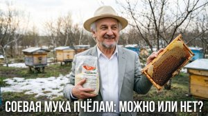 Главный вопрос весны: соевая мука в подкормке / Профессор Кашковский отвечает