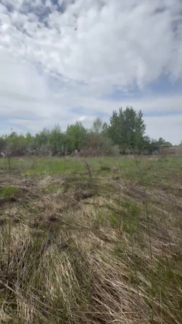 VID_20260519_123537 смотреть онлайн