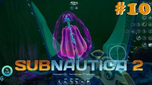Subnautica 2 #10 - Аксумское зрение