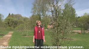 В плодовый сад приехали деревья из питомника Лорберг