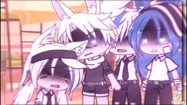 981.mp4