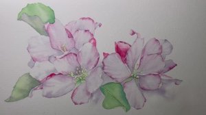 Акварельный рисунок «Цветущие яблони» 🍏 Картина с белыми цветами, написанная акварелью