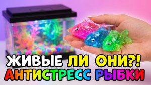 Игровой набор «Робот-рыболов» с подсветкой и аквариумом. ASMR-эффект, распаковка без разговоров