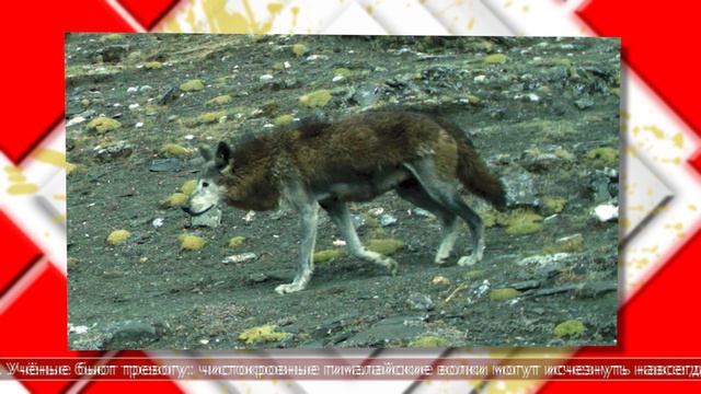 20.05.2026 Мировые новости