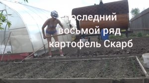 6 соток 15 мая 2026 г Одуванчикам бой. Посадила картошку. Высадила Виолу. Косила участок за забором