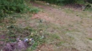 Сходила на речку называется