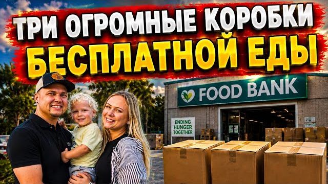 Лиса в Америке - Что дают всем - Просто шикарные продукты