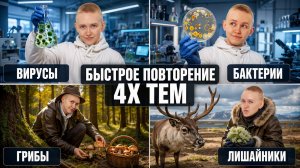 Самое быстрое повторение вирусов, бактерий, грибов и лишайников (для 12 задания)