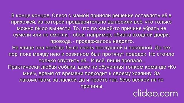 РОЖДЁННЫЙ ПОЛЗАТЬ ЛЕТАТЬ… НЕ ДОЛЖЕН!.. Часть 1. Глава 9. Нимфетка. (35)