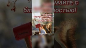 Марина Томилова,продол  заявл по разным палициям и пра одиночества и про знакомства ,вид 21🌿🪴