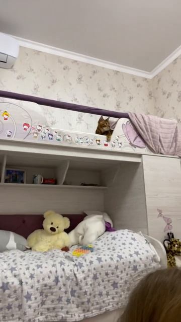 В этом видео странно всё #shorts #алиса #мимилисса #youtubeshorts