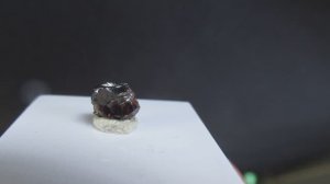 Пейнит купить