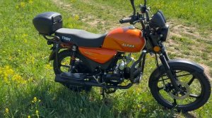 тмбк Альфа 125