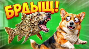 БРДЫЩ В НАШЕЙ КВАРТИРЕ!! ТИКАЕМ!!