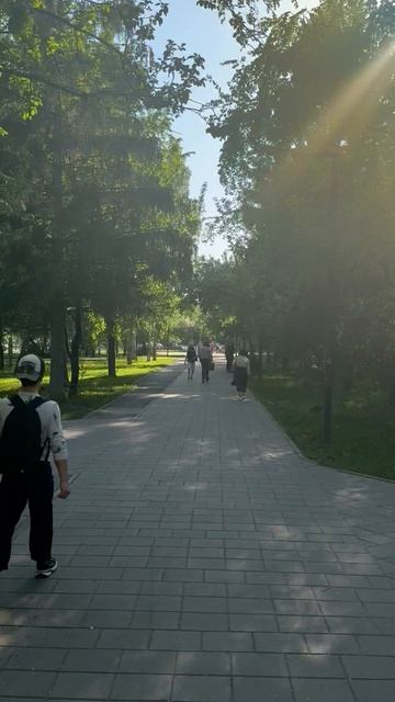 Бардина 19
