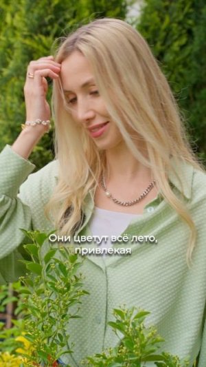 Зелень, которую мы привезли из Италии, теперь живёт во дворе ЖК бизнес-класса «Центральный» 🌿