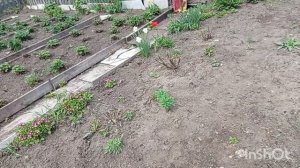 //227//Как прошел мой день,чем сегодня занималась.