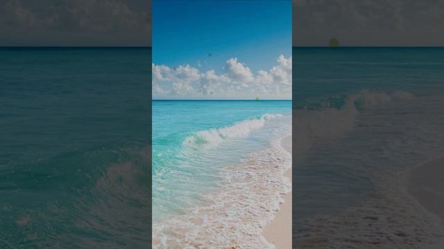 Отпуск.mp4