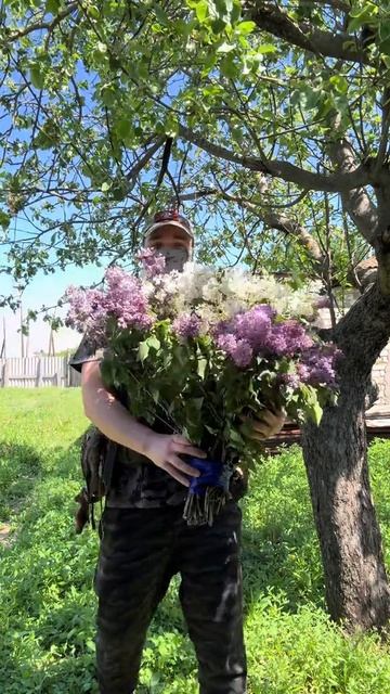 Утро доброе Страна.