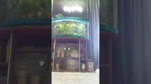 VID_20260519_141341.3gp