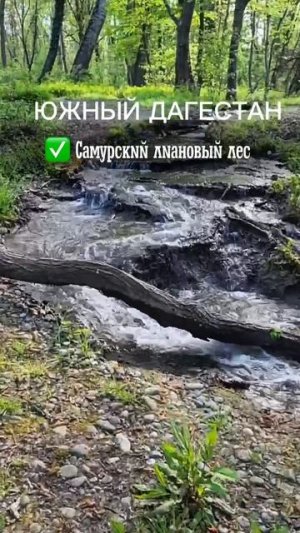 Сдача дома у моря в Дагестане / ПРИМОРСКИЙ