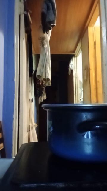 2078.mp4