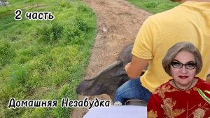 2 часть. НЕ ВИНОВАТАЯ куча❗️Планирует пересадку своего разума в НОВОЕ тело🤯❗️