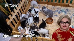 3 часть. Новые мечты❗️В детстве в ДОСКИНО с@плю чуть не убили за КВАС😱❗️